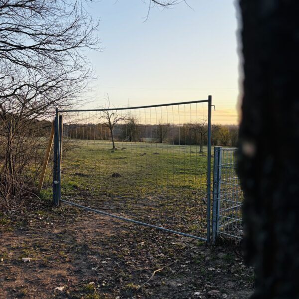 Streuobstwiese in Häcklingen am Embser Kirchweg